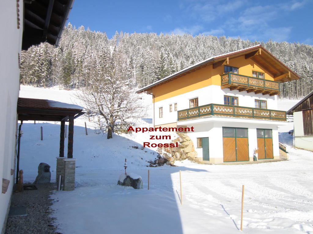 Appartement Zum Roessl Ramsau am Dachstein Ruang foto
