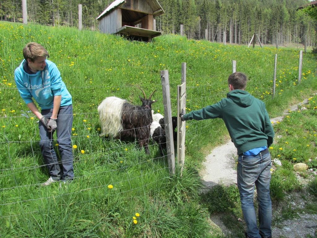 Appartement Zum Roessl Ramsau am Dachstein Bagian luar foto